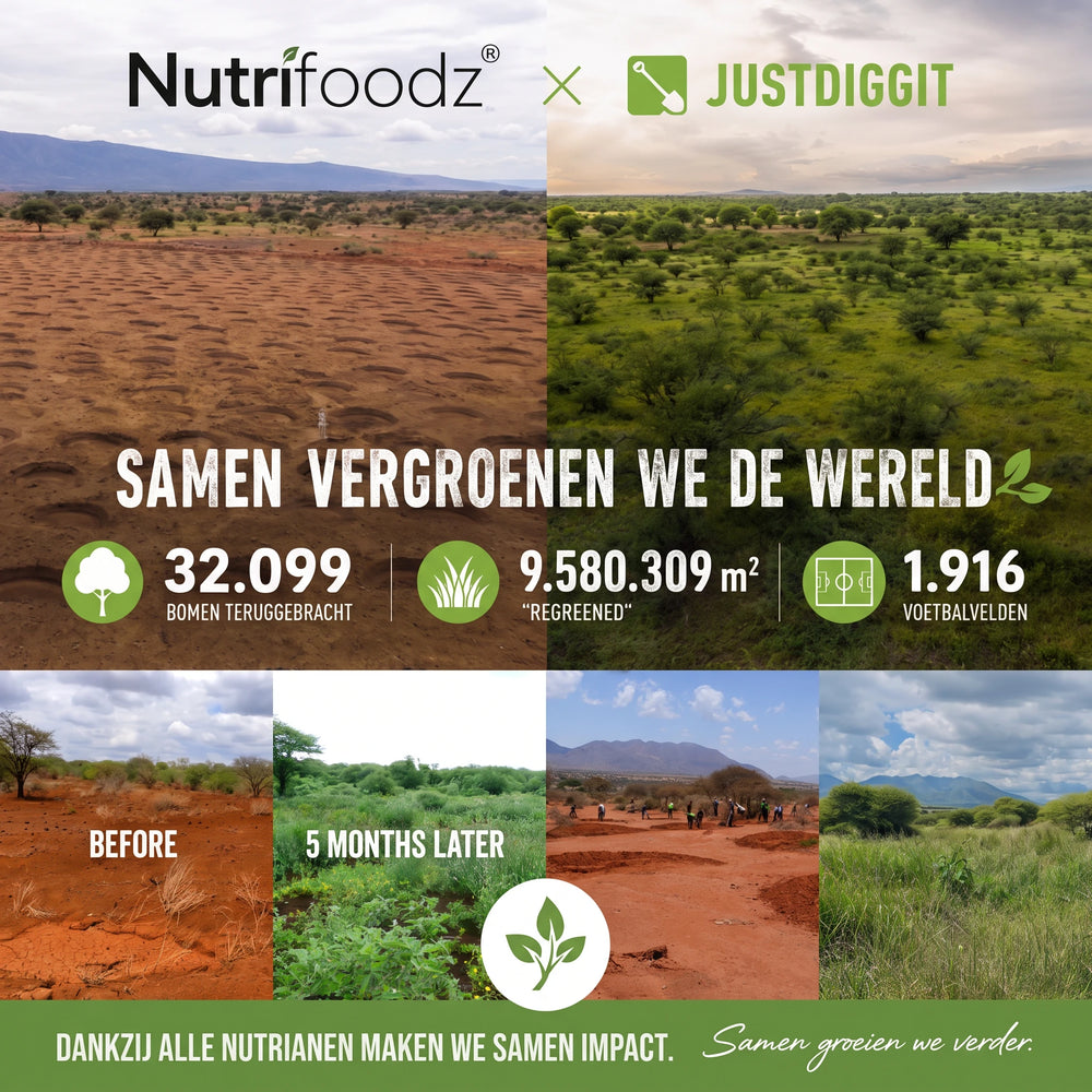 Nutrifoodz Cholesterol Support